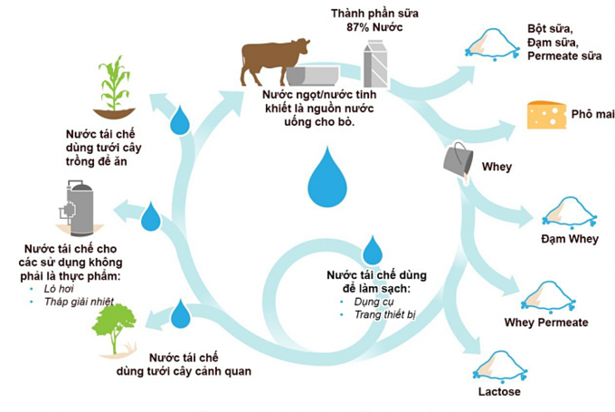 The US dairy industry protects the environment during the production process
